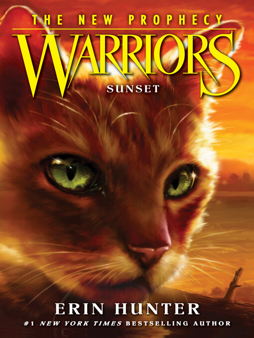 Title details for Sunset by Erin Hunter - Available